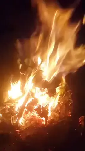 #💛💛💛 #foryoupage #foryou #explore#tiktokviral 