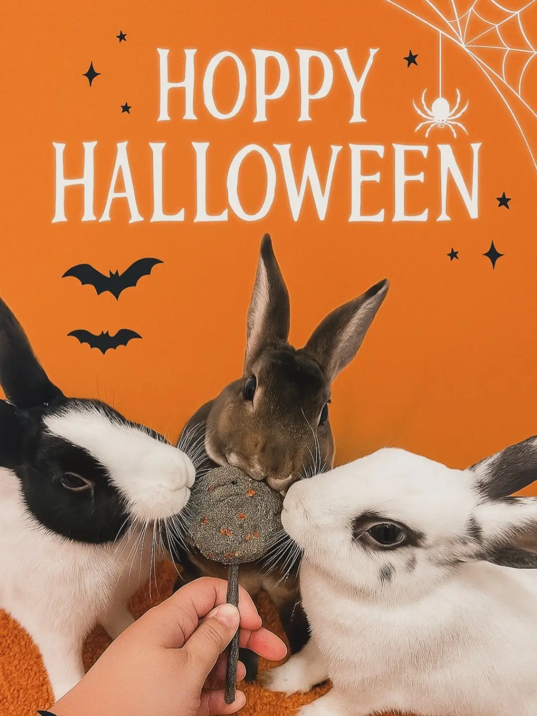 The scariest thing about us? How fast we eat snacks. 😋🎃 #HoppyHalloween #BunnyTok #CutePets #SpookySeason #BunnyLove