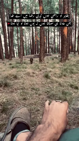 لیکن عادتاً ہی سوچتا ہوں کہ یوں ہوتا تو کیا ہوتا🚩