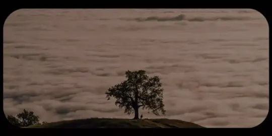 ﴿یَـٰقَوۡمِ إِنَّمَا هَـٰذِهِ ٱلۡحَیَوٰةُ ٱلدُّنۡیَا مَتَـٰعࣱ﴾ #محمد_صديق_المنشاوي #qoran #قران #03mel5 #المنشاوي 