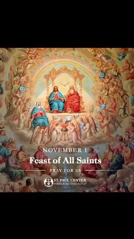 The Saints of Heaven ... pray for us now and at the hour of our death. Amen#catholicchurch #viral #oremus #foryou #reels #reparation @Talk2APriestToday 