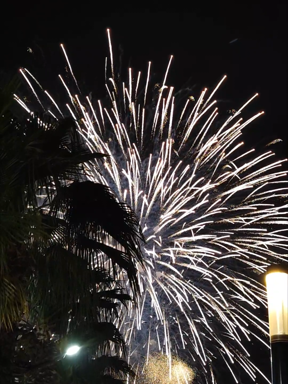 Algerian independence revolution 🇩🇿  #سطيف #سطيف_العالي_ٱخاالي #setif #algeria #dz 