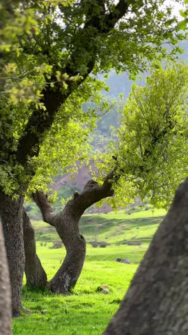 kurdistan😍''''#fypシ゚ #spring #اجواء_الشتاء #foryoupage 