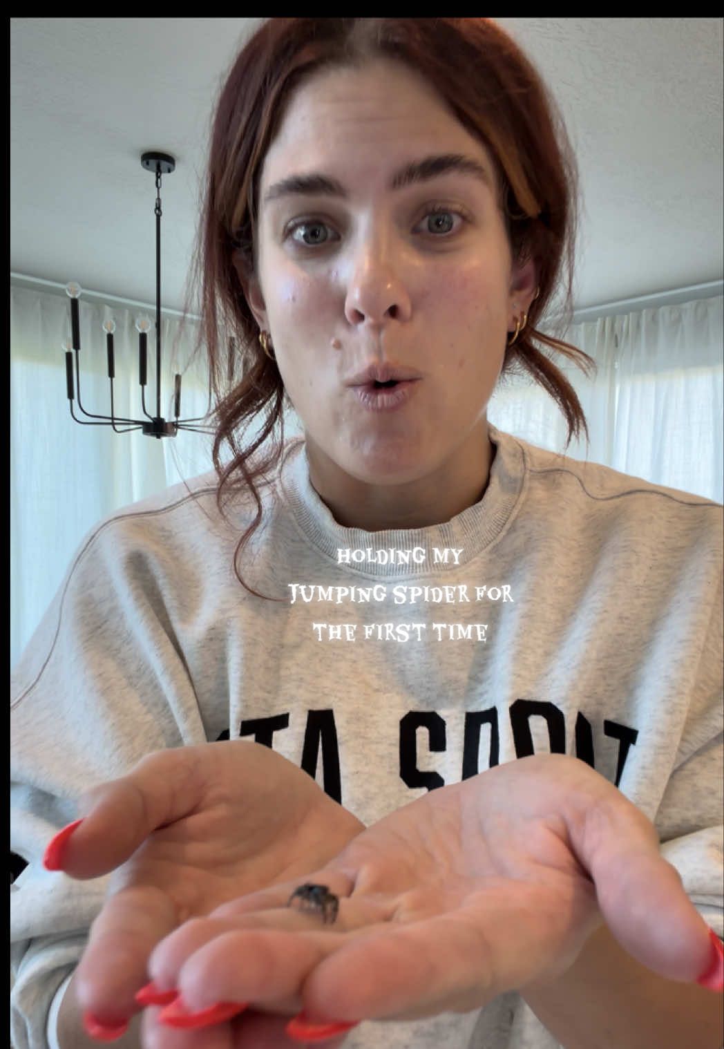 Looking at him is way better than holding him ☠️ we are both scared 🙈 #bloompartner #jumpingspider #mom #fyp #viral @Bloom Nutrition 