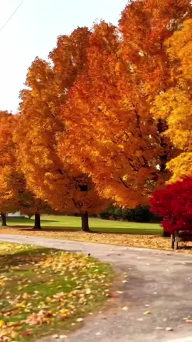 #CapCut  #اسمع_ارح_قلبك_بالقرآن #القرآن_الكريم #تلاوة_خاشعة #CapCut 