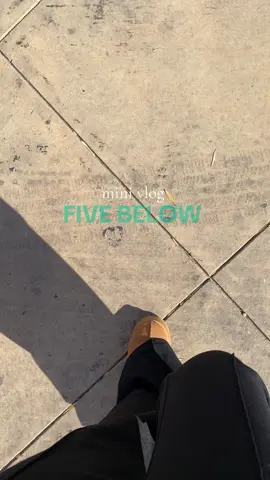 Come shop with us🛍️✨ #minivlog #fivebelowfinds #fivebelowchristmas #minivlogseries #fyp 
