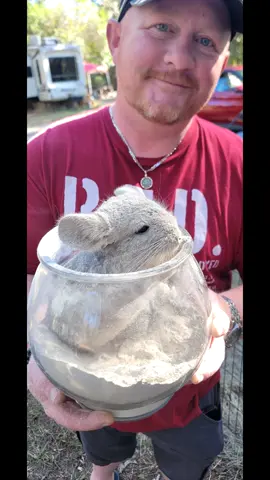 #BrilhaSemMedoEstácio  Sooo fun, if you are ever in Brewton Alabama check out The wood campground and Wild adventures on Facebook! #owl #horse #macaw #getoutside 