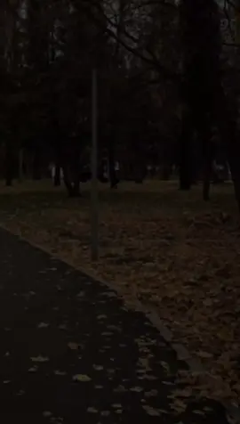 يارب ❤🍂 #المخرج_يحي_البحيري  #شعر#استوريات#دعاء #مؤمن_عيد