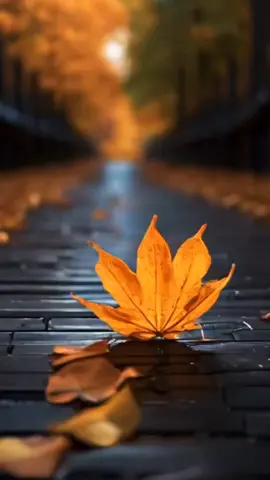 YOUR NOVEMBER IS BLESSED - APOSTLE JOSHUA SELMAN  : : #apostlejoshuaselman #fyp #goviral #foryoupage❤️❤️ #viral 