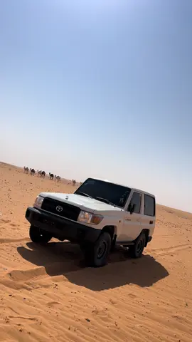 عطايا الله😍🤍#الشرارات #طبرجل_القريات_تبوك #بوليسي_جيب_ربع😴 #عطايا_الله🐪 #اكسبلورexplore 