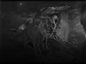 لي بيحبوا يؤذوا اللي حواليهم..💔؟#tiktok #foryou #youtube #استوريهات #حالات_واتس_حزينه💔 #استوريهات_كرتون #تصميمي🎬 #تصميم_فيديوهات🎶🎤🎬 