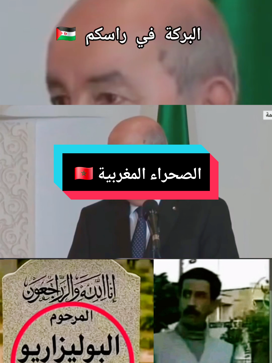 #الدار_البيضاء_مراكش_الرباط_طنجة_المغر #الصحراء_المغربية🇲🇦🇲🇦🇲🇦 #اسود_الاطلس👑🌹❤️🇲🇦🇲🇦🇲🇦🇲🇦 