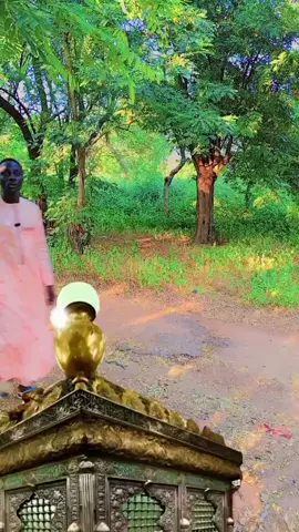 #danfalgore2tiktok #danfalgore2tiktok #danfalgore2tiktok #danfalgore2tiktok 