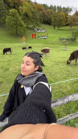 طاقيلنا صاحبك اللي تتمنالوا يولي بقرة 🐮 في سويسرا 🇨🇭 🤣 .. . . . . . . . #الجزائر #المغرب_العربي #تونس #algerie #travel 