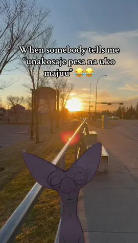 Watu wa majuu hawakosangi pesa they said😂😂 #kenyantiktok🇰🇪 #viral @mbitutwins #nairobitiktokers #MemeCut #Meme 