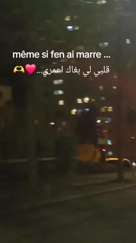 #فرنسا🇨🇵_بلجيكا🇧🇪_المانيا🇩🇪_اسبانيا🇪🇸 #المغرب #🇲🇦 #الشعب_الصيني_ماله_حل😂😂 