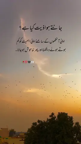 Kasi he tenhaie* #Islamic_vibes🍁👀💯📿 #1milionaudition #growmyaccoun #fypviralシviral #💞💖🔐🍁💯🌱🖇️ 