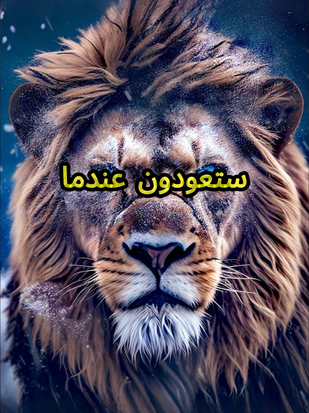 الغدر ليس من صفاتنا  #اقتباسات #حكمة #خواطر #اكسبلور #نجاح #علم_النفس #تطوير_الذات #كلام_من_ذهب #اطمئن #اقتباسات_عبارات_خواطر #تحفيزات_إيجابية #اللهم_صلي_على_نبينا_محمد #fyp #explore #viral_video #psychology #motivation