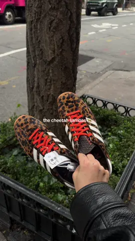 these sambas are perfect 🐆 #sambas #adidassamba #tiktokshopcreatorpicks 