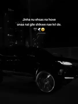 do you like punjabi ? 😭😐 #unfrezzmyaccount 