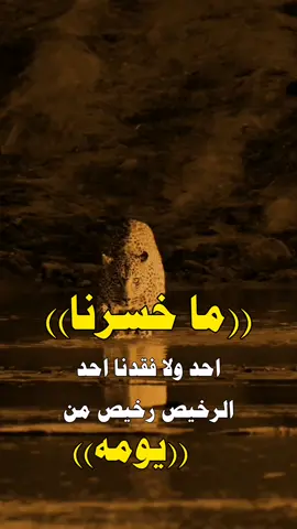 #عبارات #رامو #مالي_خلق_احط_هاشتاقات🧢🙂😂 