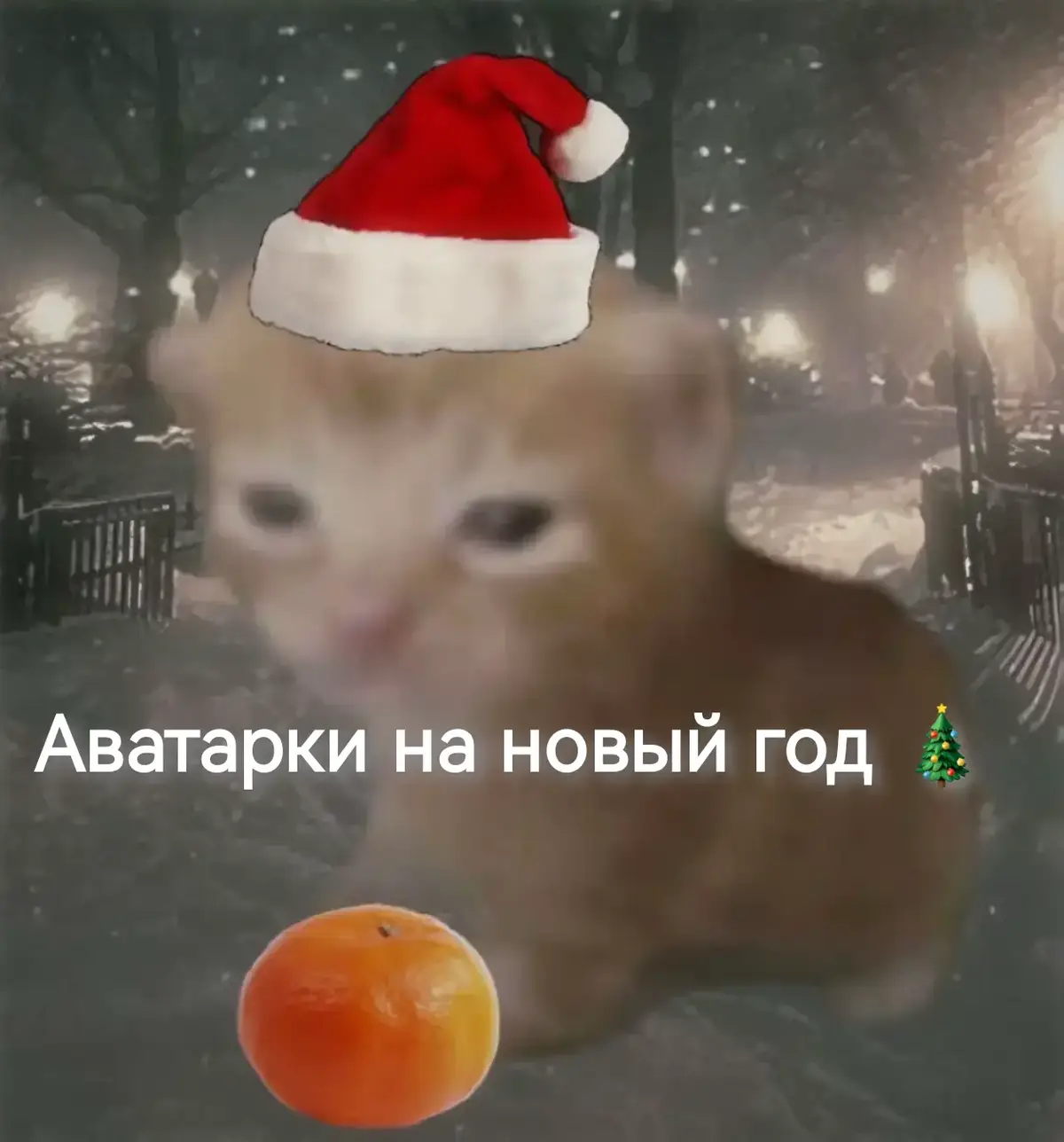 Новогодние аватарки 2025🌲#актив #рек #зима #аватарки #зима2025 #новыйгод#сновымгодом #котыдедыморозы#коты#собаки#дедмороз #снегурочка 