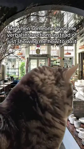 Don’t tell me, show me! #showme #funny #fyp #relatable #instructions 