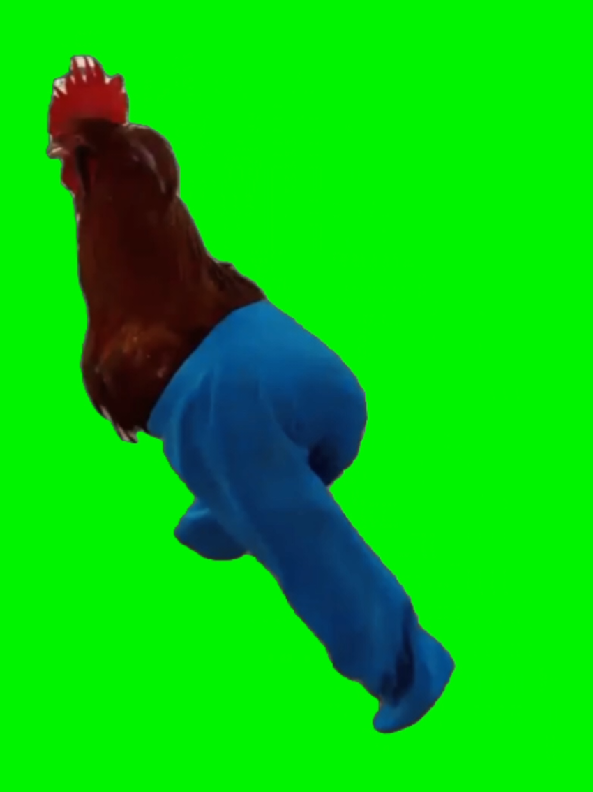Ain’t no backing down when Samuel Zars’ rooster shows up wearing *pants* to a Mexican standoff 🐓👖💥 Perfect CapCut meme template for your next showdown moment. #ChickenInPants #MexicanStandoff #CapCutTemplate #FunnyAnimals #BrainrotMeme