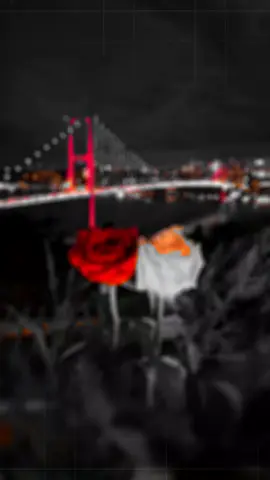 فيا حكي لو ينـــحكيخفف عليا اهوان من لجروحي #أبو حمزهہ الحنفاشي#اكسبلور #متابعه_ولايك_واكسبلور_فضلا_ليس_امرأ