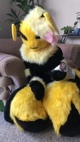 Happy Halloween! Don’t let anyone stop you from eating that candy! Or well…maybe let them…  #furries #fursuit #fursuiter #fursuiting #fursuitmaker 