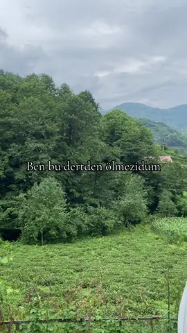 📍08 #karadeniz #karadenizşarkıları #artvin #trabzon #fyppppppppppppppppppppppp 