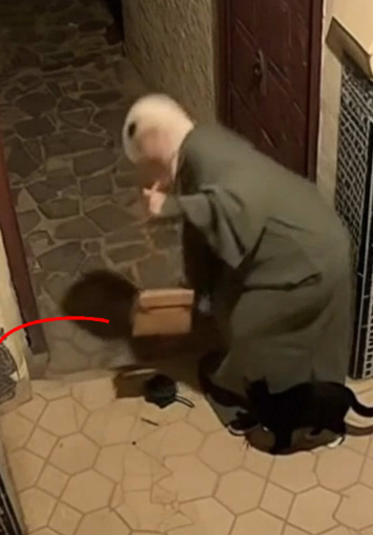 #الشعب_الصيني_ماله_حل😂😂 #الله_اكبر #المغرب🇲🇦تونس🇹🇳الجزائر🇩🇿 