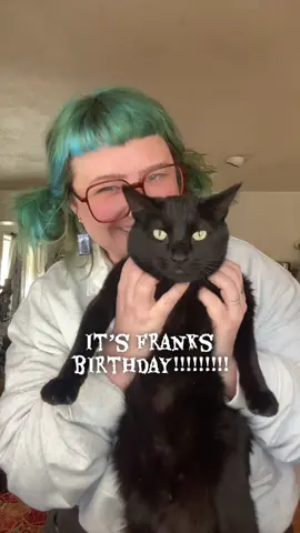 SAY HAPPY BDAY NOW ITS WEEN #halloween #blackcat #cats