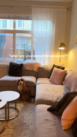 MERRY CHRISTMAS!!! #christmas #christmasdecorations #christmasdecorating #earlychristmas #goodbyehalloween 