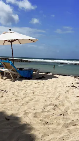 #muhammadrafisong #🙏❤️🌎🇹🇹🇬🇾🇯🇲🇮🇳🇵🇰🇫🇯🇺🇸🇦🇪🎶🎵 