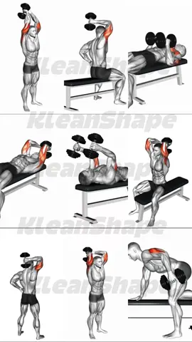 Top dumbbells 💪 workout for your triceps !!! Try these training exercises in your next workout session!!! #workoutroutine #Fitness #triceps #tricepsworkout #kleanshape 