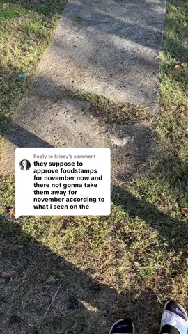 Replying to @krissy #greenscreen 