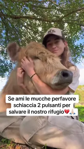 Grazie❤️‍🩹 #mucca #fattoria #ciabatte #perte 