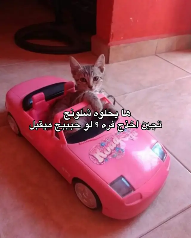 #fyp #ميمز #اكسبلورexplore #اكسبلوررر #viral 