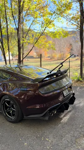 She dirty 🫤 #fyp #mustanggt 