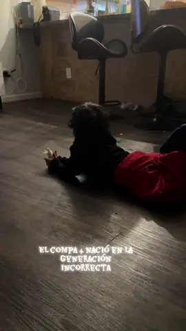 El 4 fenix 🥰🥰#elcompa4 #mexico #loscaballerosdelzodiaco 