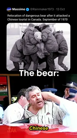 Free my boy…he ain’t do nothin’ 🐻  #meme #memes #bear #arrested #chinese