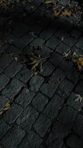 واقف نہیں جو لوگ صفر کہ اصول سے  #sadpoetry #foryou #UdasDil💔 