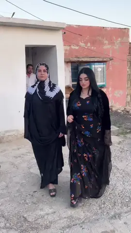 #شیلان_عەلی #یەکێتی_نیشتمان_کوردستان #💚💚💚 #fyp #foryou 