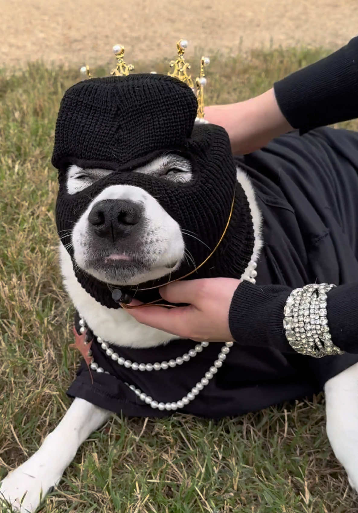 Minnies favorite holiday 😂😂 