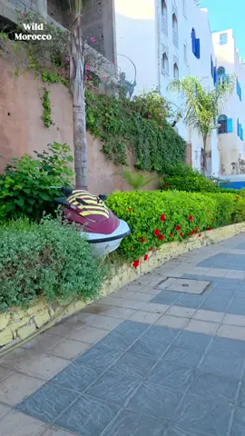 #الحمدالله_علی_کل_حال❤ #دكالة_بلاد_الخيرات❤️💪💯 