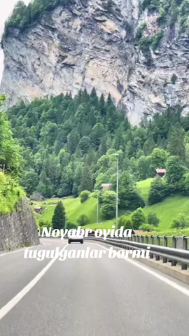 Siz qaysi oyda tugulgansiz? Fikringizni izohlarda yozing