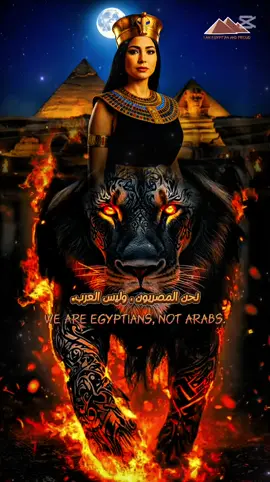 #مصر_السعوديه_العراق_فلسطين_الاردن_سوريا #الامارات_العربية_المتحده🇦🇪 #fyppppppppppppppppppppppp 