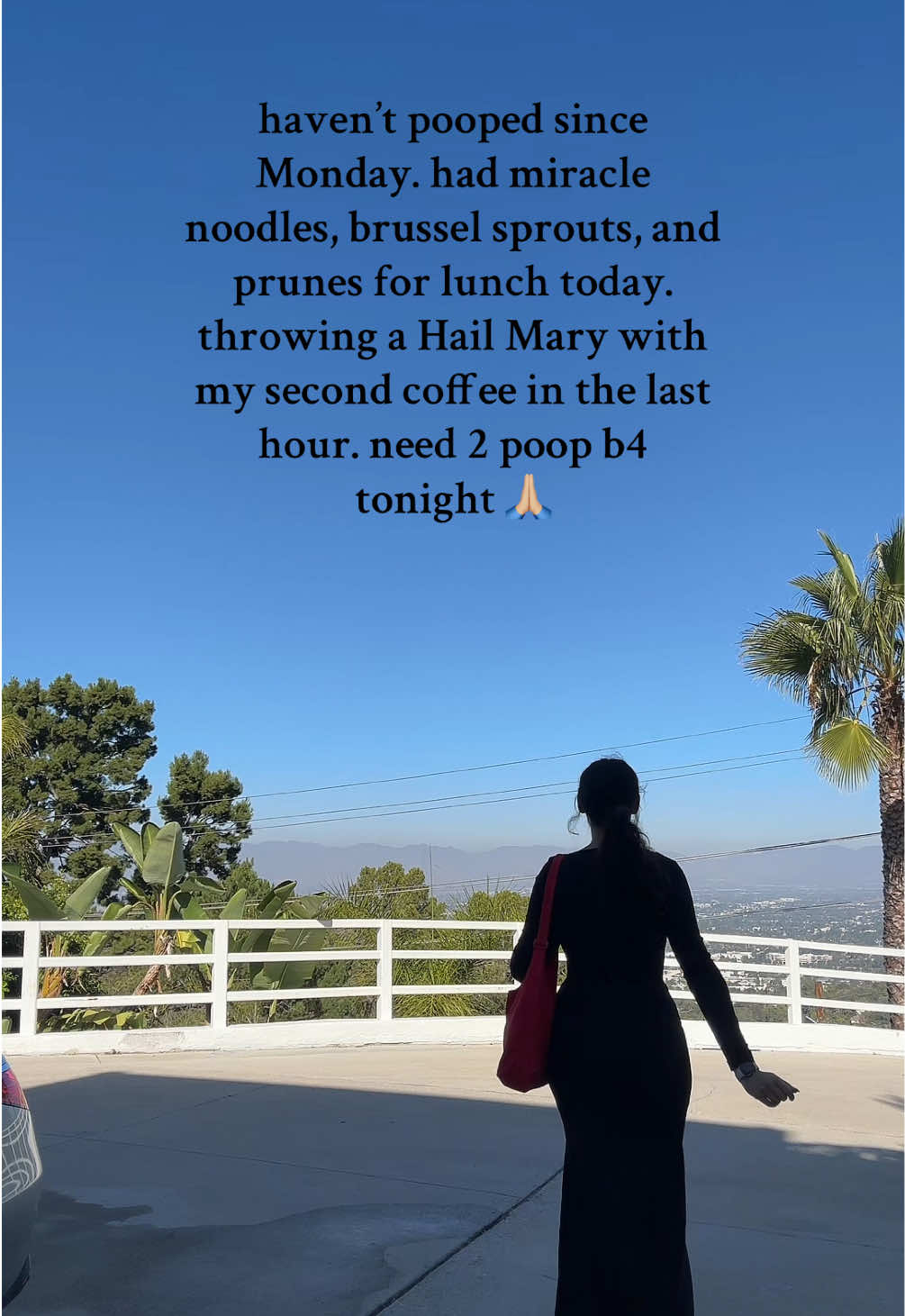 just fiber nuked myself & it feels like there’s a brick in my stomach #ibslay @Big Shitter 