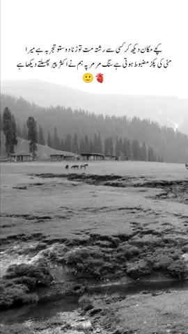 🖤🔥#fyp #viral #status #tiktokpakistan #100kviews 